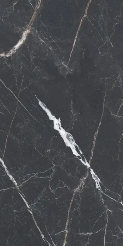 Керамическая плитка Плитка VANITY BLACK MATT 60X120 Artech / коллекция VANITY / производитель  / страна Argenta