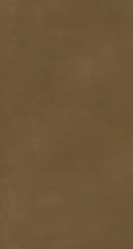 Керамогранит Natural Resine Cioccolato 60х120 / коллекция NATURAL TERRE / производитель LA FENICE / страна Италия