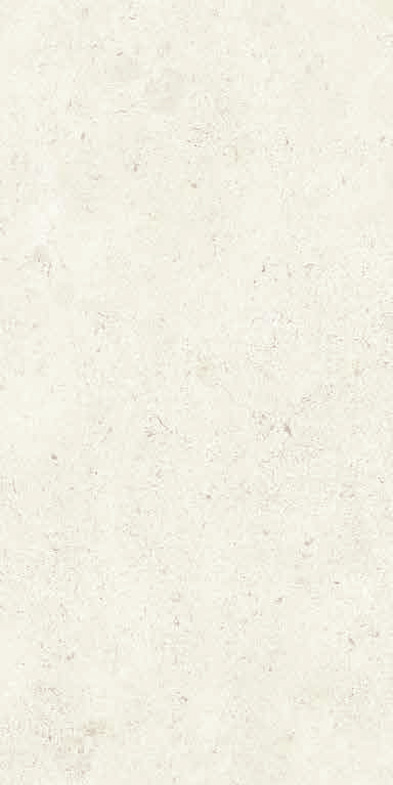 Керамогранит LITHOTEKE FRENCH ST HONED RT 60X120 / коллекция Lithoteke BOTTEGA / производитель BOTTEGA / страна Италия