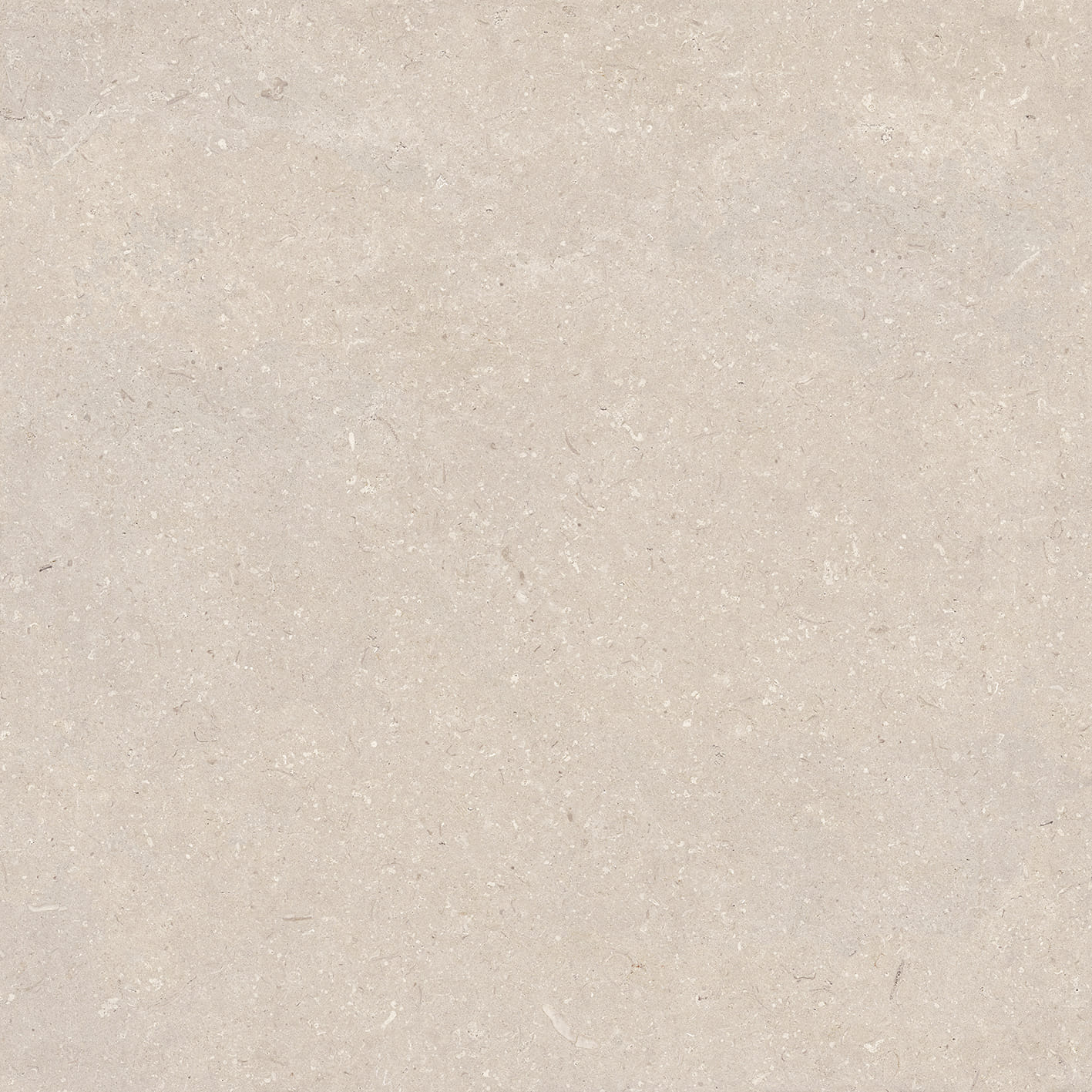 Керамическая плитка CORAL CALIZA L 120X120(A) / коллекция Coral / производитель globusceramica / страна 