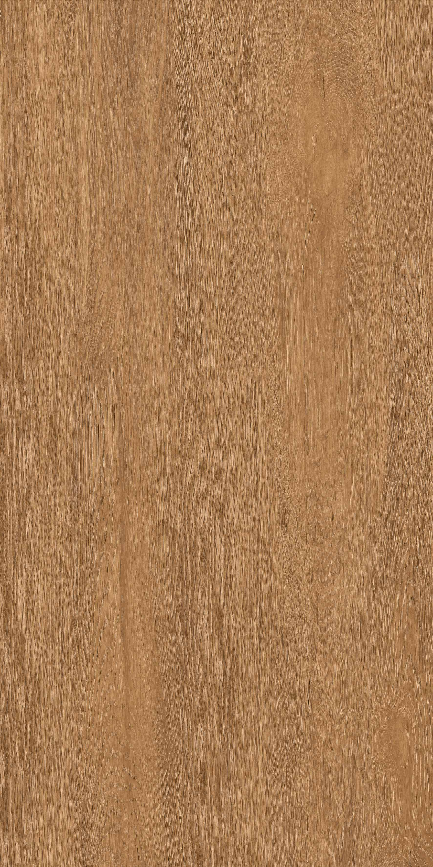 Керамогранит Керамогранит Realistik Alderis Brown Matt 60x120 (1,44) / коллекция Alderis / производитель Realistik / страна Индия