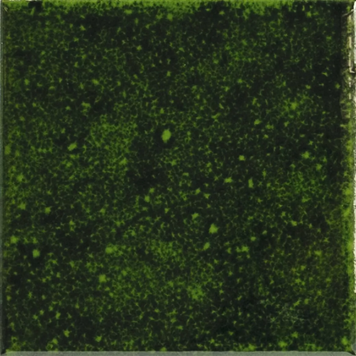 Керамическая плитка Genuine Emerald 10x10  / коллекция CARMEN APE Cerаmica / производитель APE Ceramica / страна Испания