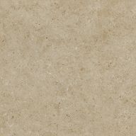 Керамогранит Bera&Beren Biscuit Honed 120x120
