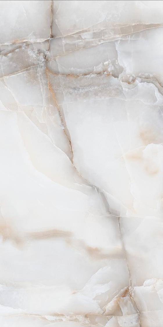 Керамогранит ANTYSKY NATURAL керамогранит полированный 60х120 см PRO 005-1 / коллекция Antique Grey / производитель  Absolut Gres / страна 