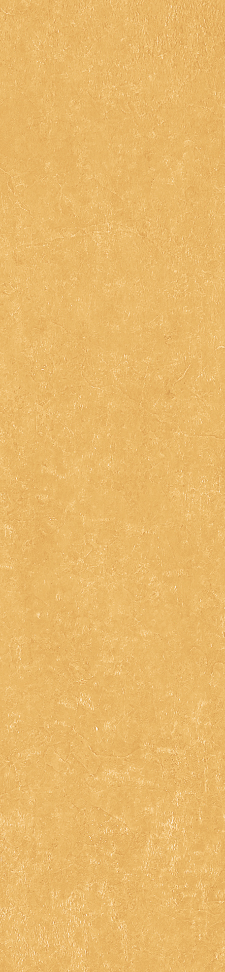 Керамогранит Плитка из керамогранита Simpolo Spectra (MPL-061912) / коллекция Simpolo / производитель Simpolo / страна Индия