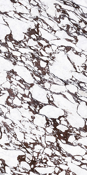 Керамогранит Керамогранит BOOKMATCH CALACATTA VIOLA B SOFT MATT. / коллекция CALACATTA VIOLA / производитель Ascale / страна Испания