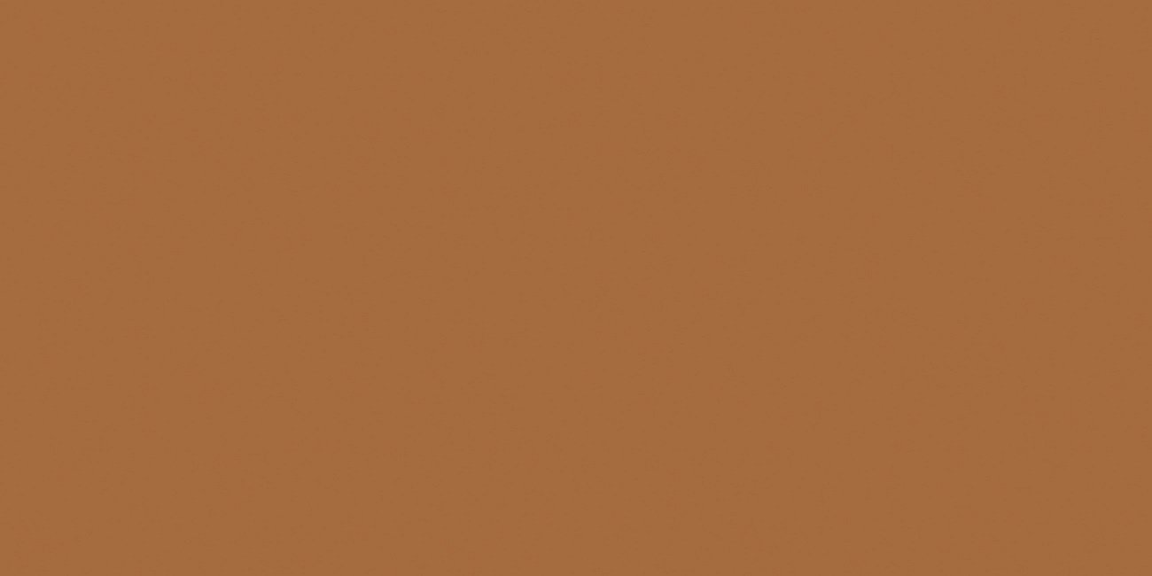 Керамогранит Exotic Light Brown 60х120 Matt / коллекция Exotic Ocean Ceramic / производитель Ocean Ceramic / страна Индия