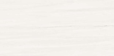 Керамическая плитка AZOM Плитка MARVEL STONE BIANCO DOLOMITE 40x80 см ВЫВОД / коллекция MARVEL STONE / производитель Atlas Concorde Italy / страна 