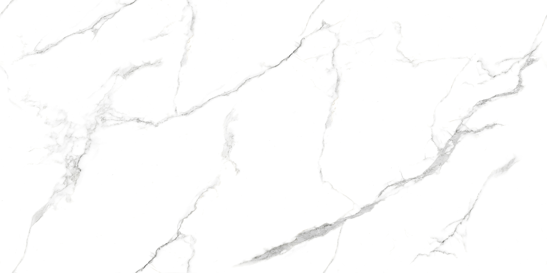 Керамогранит Statuario Wonderful Керамогранит белый 60х120 Полированный / коллекция Statuario Wonderful / производитель Ceradim / страна Индия