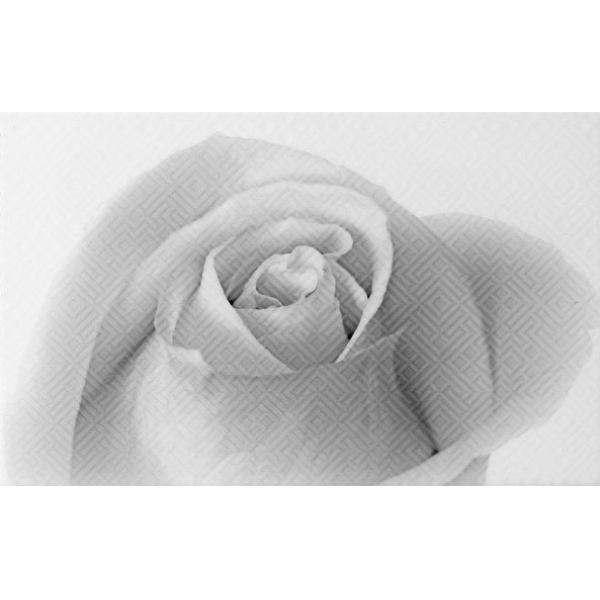 Керамогранит Декор Камелия чёрно-белый 01 25х40 (13шт) / коллекция Камелия 25х40 / производитель Шахтинская плитка / страна Россия