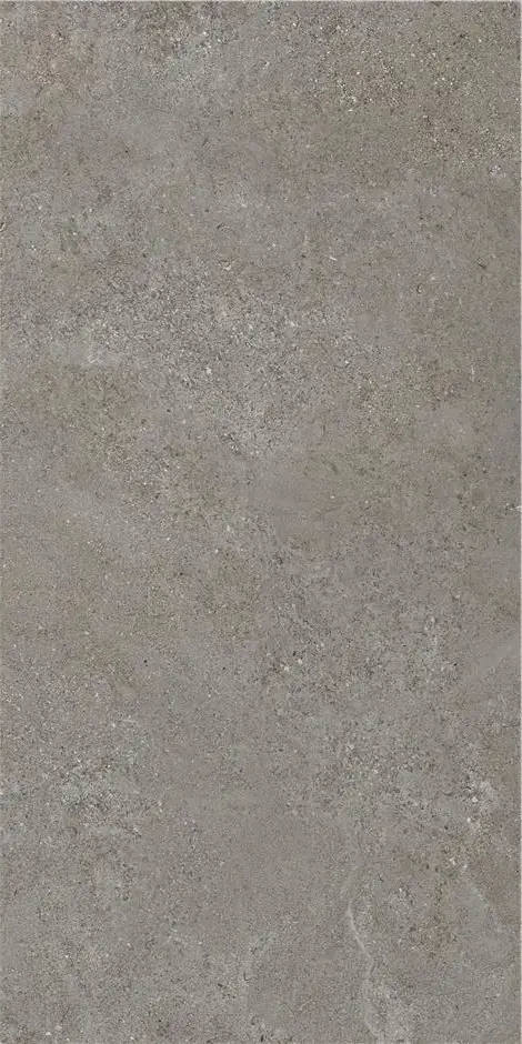 Керамическая плитка Плитка ARENITE DARK GREY MT 60X120 / коллекция Arenite / производитель  / страна Stn