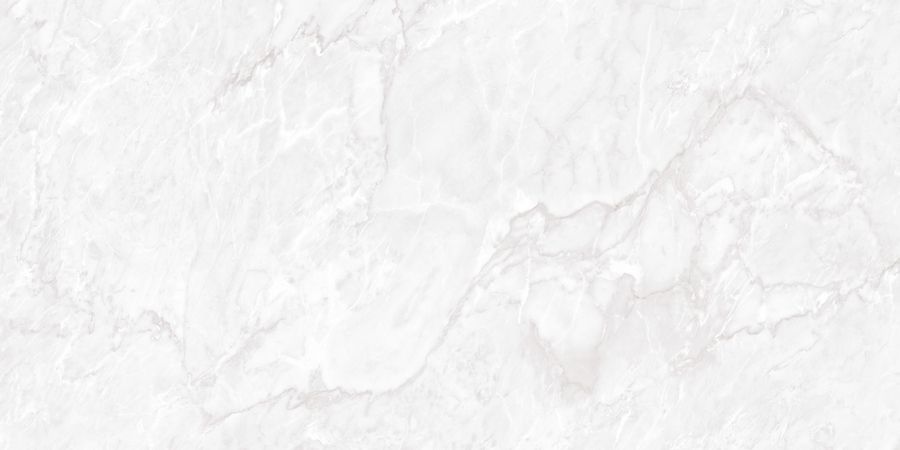 Керамическая плитка Керамогранит Belvedere 60x120 Carrara Pearl Polished 60x120 / коллекция Belvedere 60x120 / производитель Neodom / страна Индия