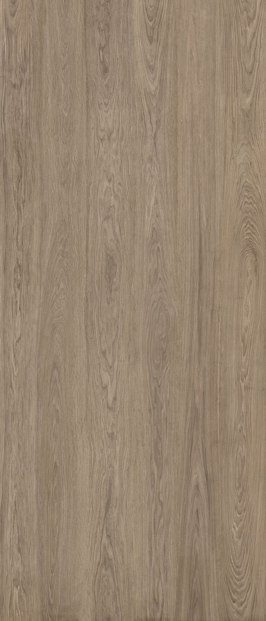 Керамическая плитка KINWOOD CEDAR RECT 120X280 / коллекция Kinfolk / производитель APE Ceramica / страна Испания