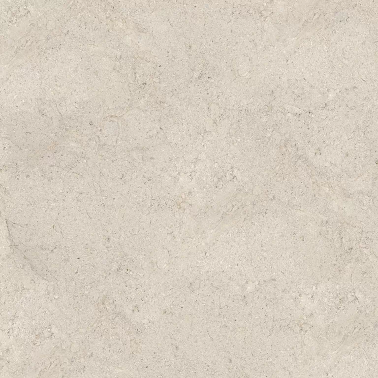 Керамическая плитка DORCIA BONE L 120X120(A) / коллекция Dorcia / производитель globusceramica / страна 