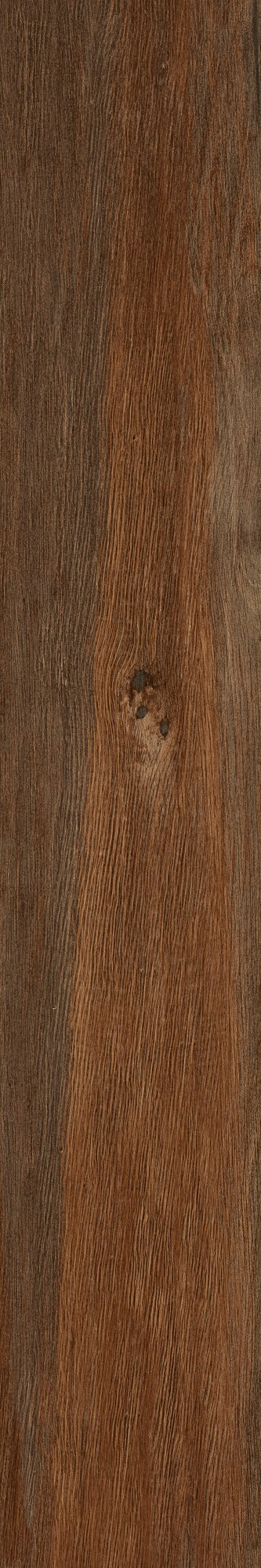 Керамогранит 20*120 LECCIO VERNICIATO RET / коллекция I Lecci / производитель SERENISSIMA / страна Италия
