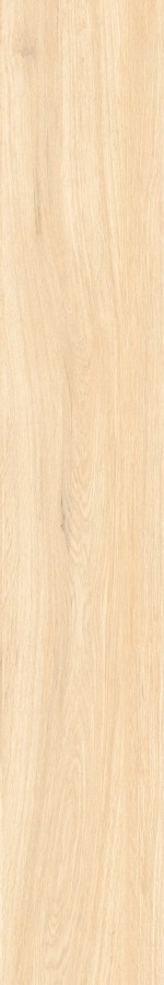 Керамогранит Керамогранит Buono Ceramic Forest Mist Matt / коллекция Forest Buonoceramica / производитель buonoceramica / страна Индия