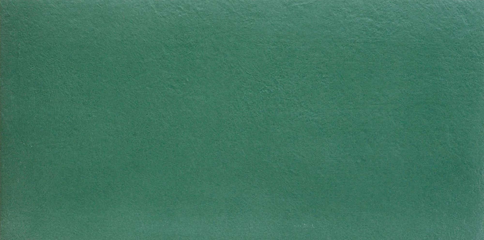 Керамогранит Плитка облиц. керамич. AVOCADO6 12,  6.5мм, 60x120 (200754) / коллекция Cromia Ceramica D'Imola / производитель IMOLA / страна Италия