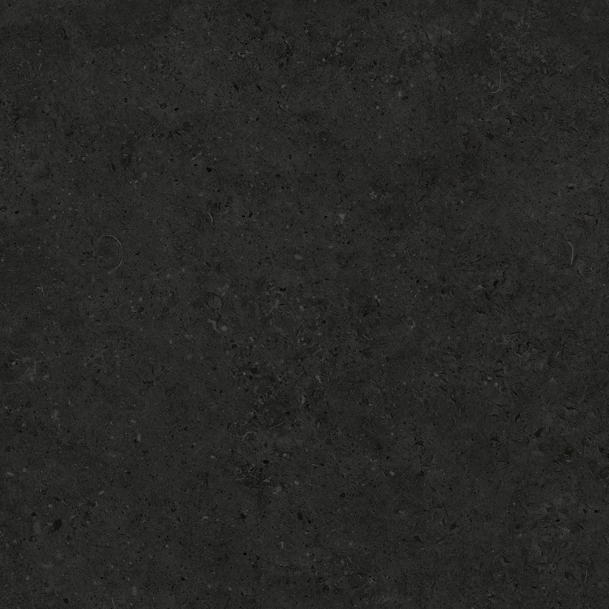 Керамическая плитка Керамогранит Bera&Beren Black 60x60 / коллекция Bera&Beren / производитель Living Ceramics / страна Испания