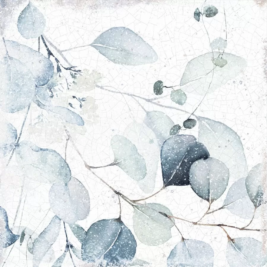 Керамогранит 37816 MAYOLICA WOODS/15X15 / коллекция MAYOLICA Harmony / производитель Harmony Peronda Group / страна Испания