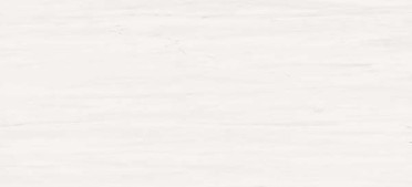 Керамическая плитка AZOR Плитка MARVEL STONE BIANCO DOLOMITE 50х110 см ВЫВОД / коллекция MARVEL STONE / производитель Atlas Concorde Italy / страна 