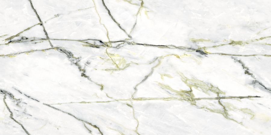 Керамическая плитка Керамогранит Splendida 60x120 Calacatta Green (Book) Polished 60x120 / коллекция Splendida 60x120 / производитель Neodom / страна Индия