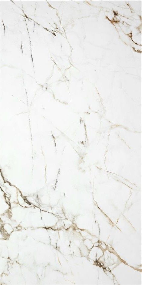 Керамогранит P.E. PUL. ASTER WHITE 60X120 RECT / коллекция Aster STN Ceramica / производитель STN CERAMICA / страна Испания