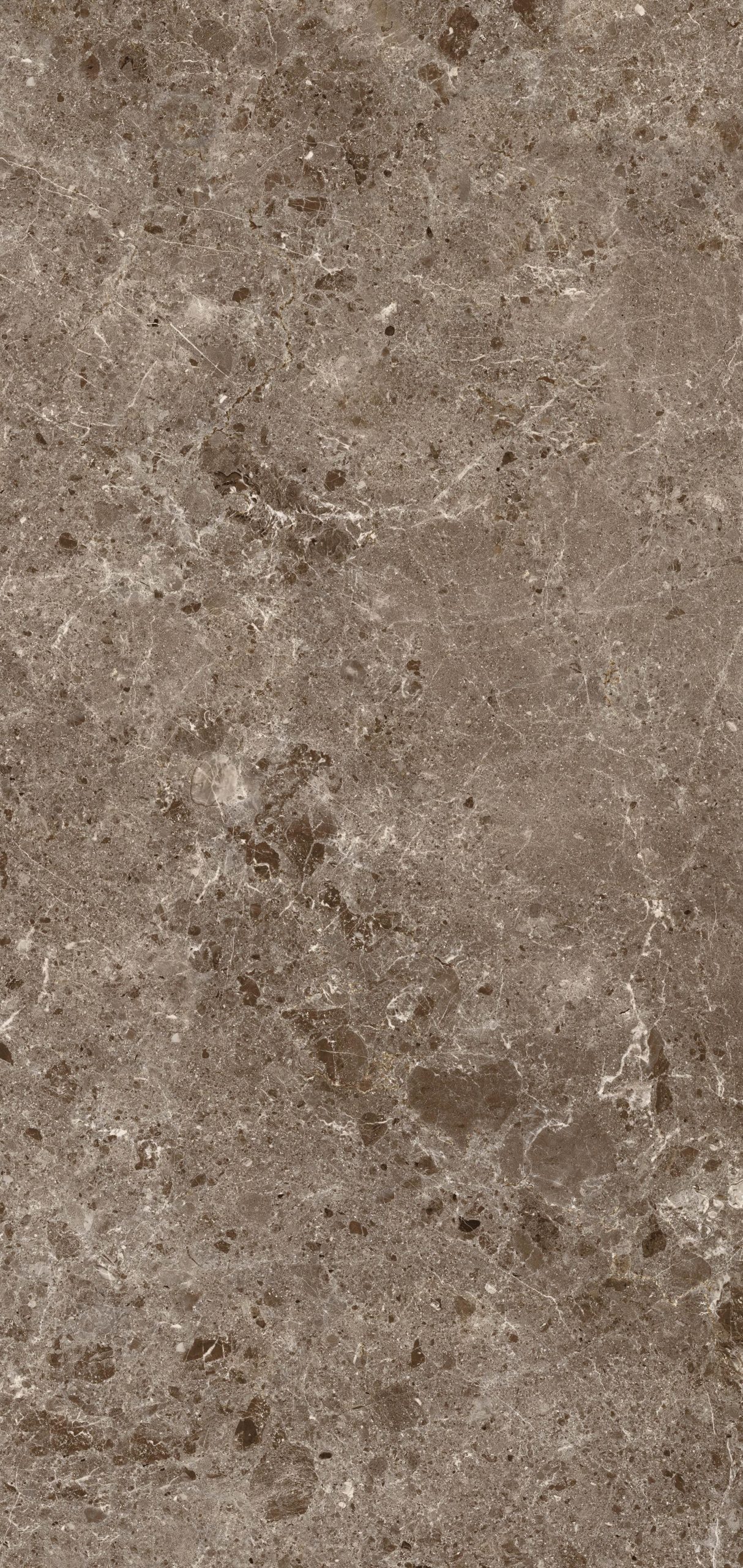 Керамическая плитка ARTIC MOKA PUL.120X260 5,6 / коллекция Artic - Cov / производитель Coverlam / страна 