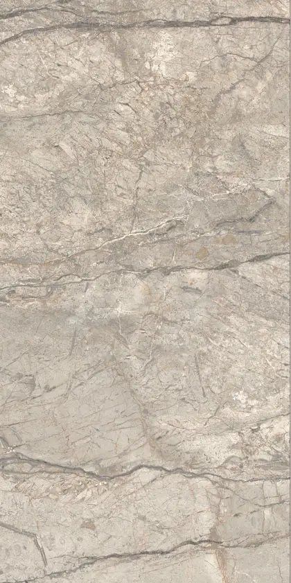 Керамическая плитка Плитка ANIMA FUTURA AMAZING SILVER 60X120 LISCIO MATT / коллекция Anima Futura / производитель  / страна Caesar