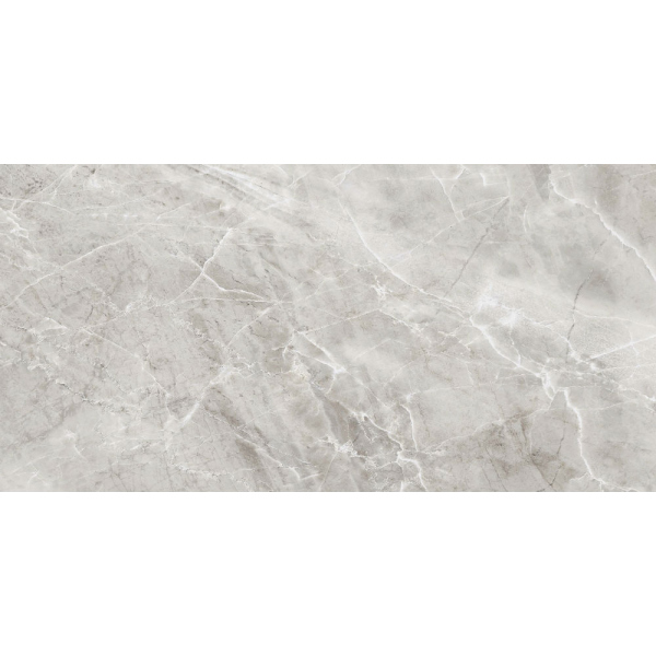 Керамогранит Керамогранит DELHI серый Ретт. 120х60 (1,44м2/43,2м2) / коллекция DELHI AXIMA / производитель AXIMA / страна Россия