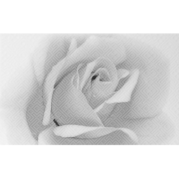 Керамогранит Декор Камелия чёрно-белый 02 25х40 (13шт) / коллекция Камелия 25х40 / производитель Шахтинская плитка / страна Россия