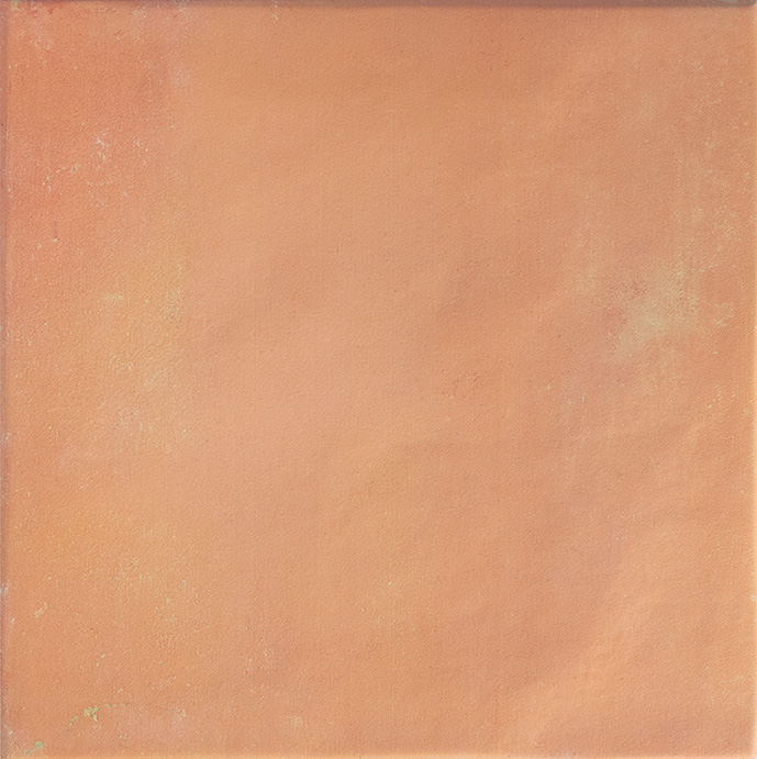 Керамогранит Керамогранит DNA Bow Square Cotto 18,5х18,5 (0,447) / коллекция rkeramika 21908 / производитель DNA / страна Испания