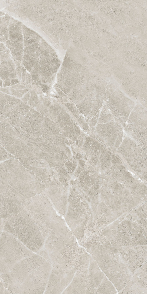 Керамогранит Colemanite Stone Grey Rect 60x120 / коллекция COLEMANITE STONE / производитель APE Ceramica S.L.U. / страна Испания