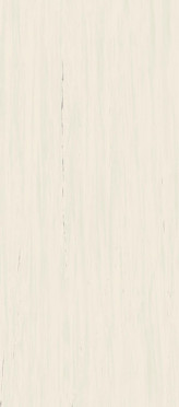 Керамогранит A0BP КерГранит MARVEL STONE BIANCO DOLOMITE LAPPATO 120x278 см / коллекция MARVEL STONE / производитель Atlas Concorde Italy / страна 