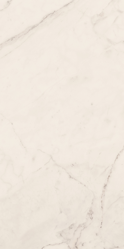 Керамогранит Плитка облиц. керамич. TREX6 260W LP,  6.5мм, 120x260 (161440) / коллекция TREX3 / производитель LA FAENZA / страна Италия