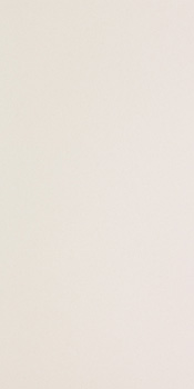 Керамогранит ICON WHITE 12 60x120 / коллекция ICON / производитель LEONARDO / страна 