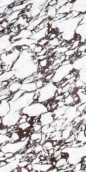 Керамогранит Керамогранит BOOKMATCH CALACATTA VIOLA A POLISHED / коллекция CALACATTA VIOLA / производитель Ascale / страна Испания