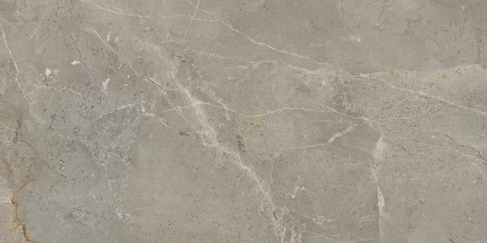 Керамогранит Augustus Brown Rect. Natural 60x120  / коллекция AUGUSTUS APE Ceramica / производитель APE Ceramica / страна Испания