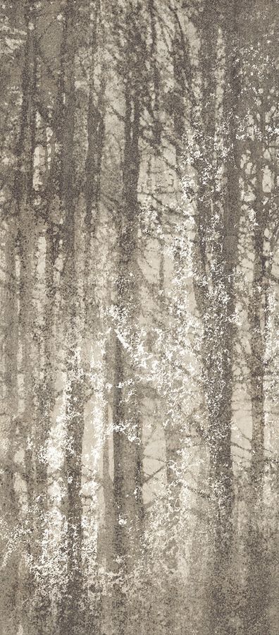 Керамическая плитка Керамогранит Ylico Ylico Wood Fog 120x278 / коллекция YLICO / производитель Fap Ceramiche / страна Италия