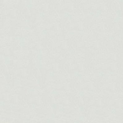 Керамогранит Плитка из керамогранита Kerama Marazzi Петергоф 40.2x40.2 белый (SG154400N) / коллекция Kerama Marazzi / производитель Kerama Marazzi / страна Россия