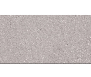 Керамическая плитка Odense Grey 24.2x70