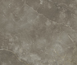 Плитка из керамогранита Italon Стелларис 80x160 серый (610010002843)