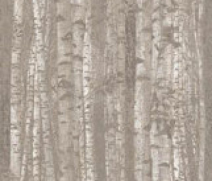 A0LW КерГранит BOOST PRO GROVE 120x278 см