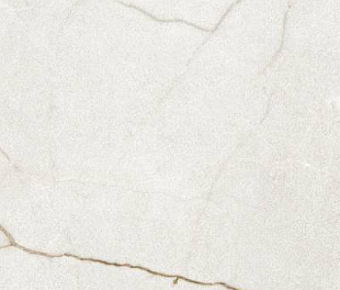 RAFFAELLO IVORY MATT ARTECH 60X120