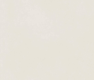 610010004154 Форум Слим Полар 60X120