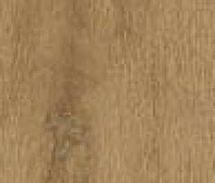 fPVY Roots Gold Matt R9 20x120 RT