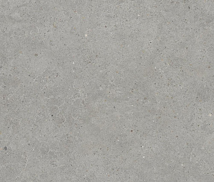 KINSTONE MIST RECT 60X120