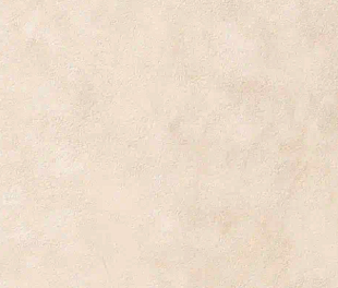 Natural Terre Decoro Felce Gesso 60х120