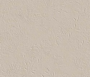 fTD1 True Color Wind Fossil 50x120 RT