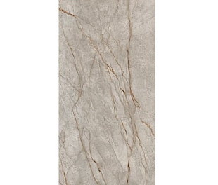 610010002173 КерГранит EMPIRE SILVER ROOT RETT 80x160 см