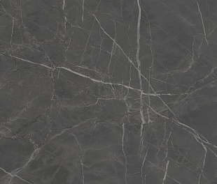 Плитка из керамогранита Kerama Marazzi Буонарроти 60x60 серый (SG642900R)